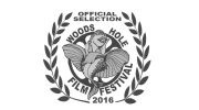 Woods hole film Festival WilFilm studio animation production